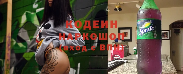 прущий лед Богданович