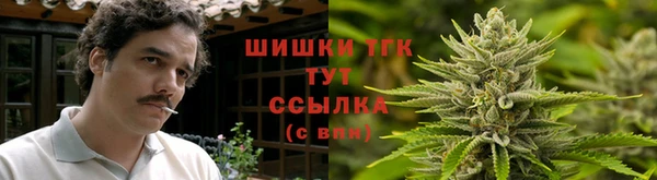 прущий лед Богданович