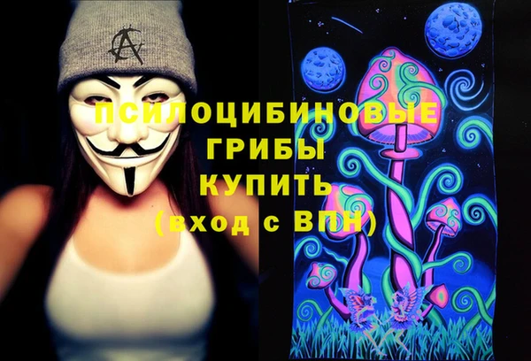 дживик Богородск