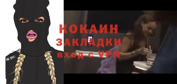 прущий лед Богданович