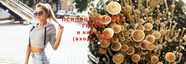 бутират Богородицк