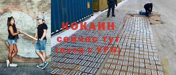 дживик Богородск