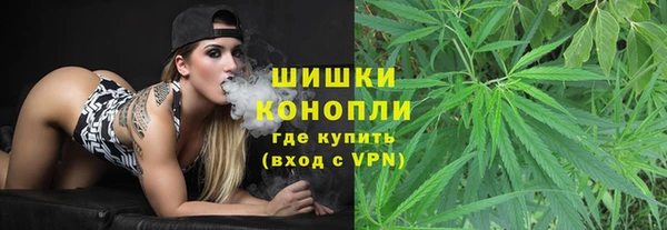 дживик Богородск