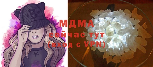 индика Няндома
