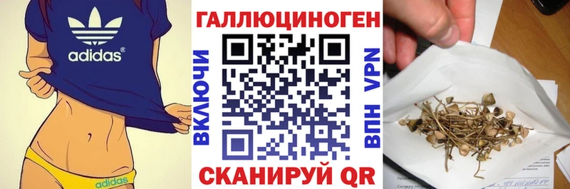 купить   Среднеуральск  Псилоцибиновые грибы Psilocybine cubensis 